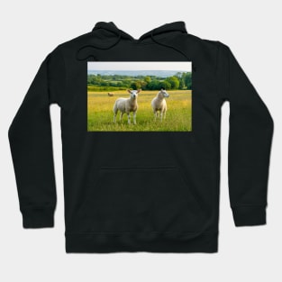 Youngsters Hoodie